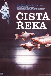 Cista reka